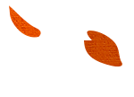 deco